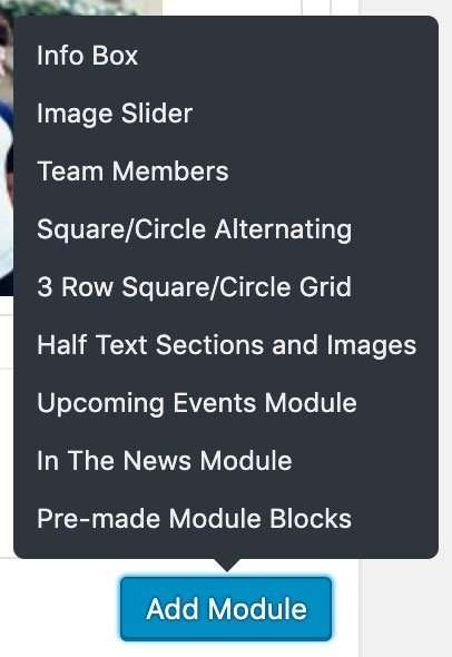 Add Module button pressed with hover above showing module options