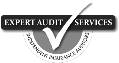 Expert Audit Services Logo