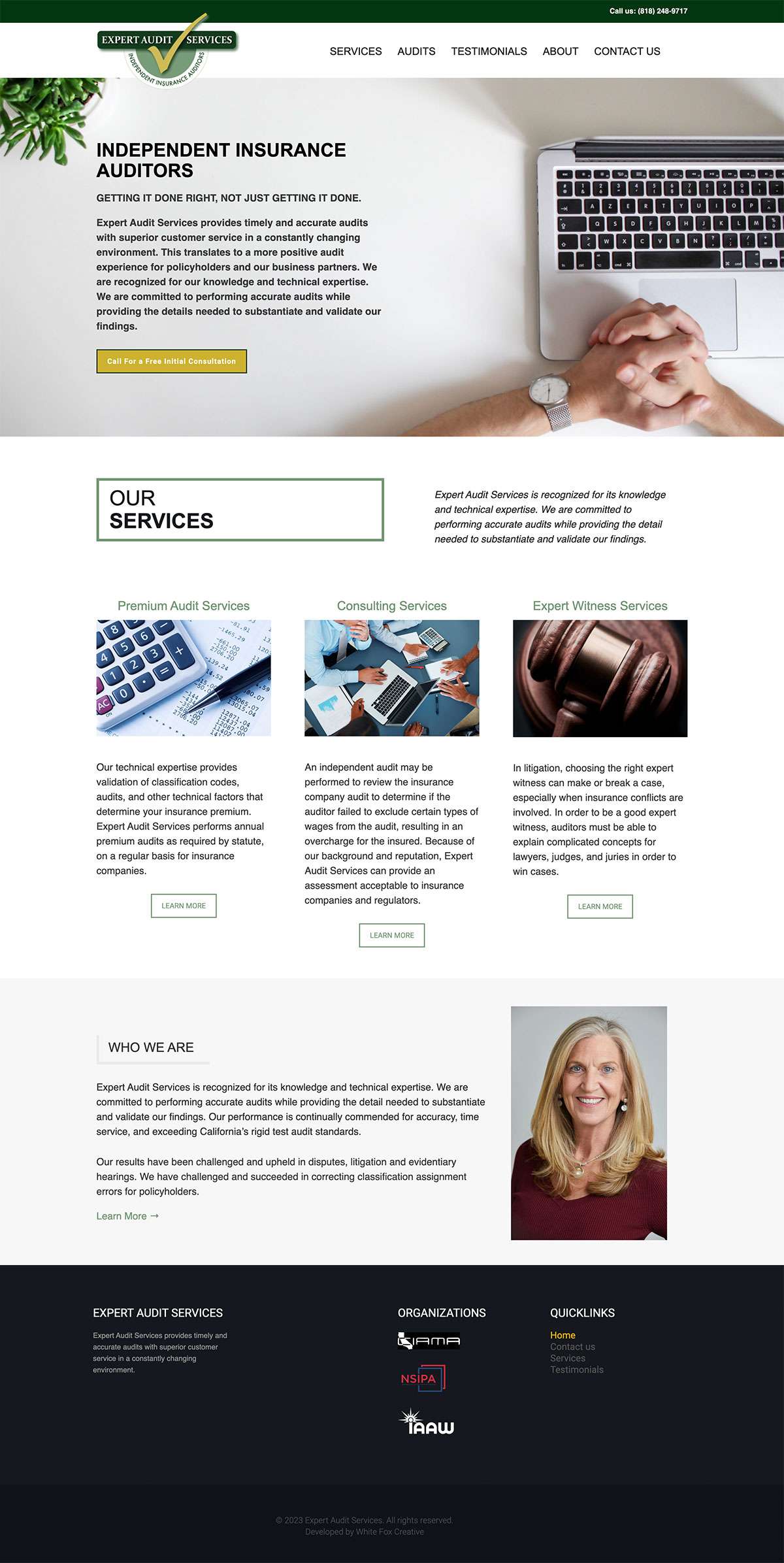 Expert Audit Services Website